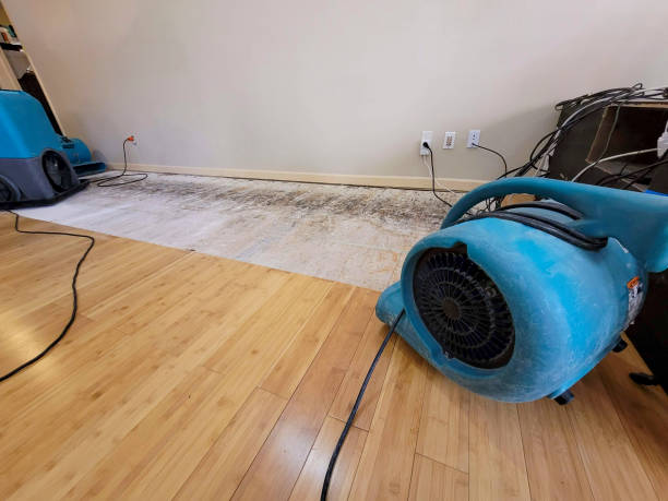 Professional Ceiling Water Damage Repair technician working in Garfield, NJ